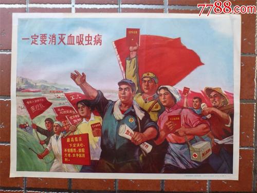 蒂尔堡大学硕士证书